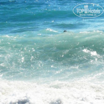 фото из отзыва ID 786694