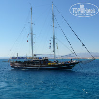 фото из отзыва ID 787242