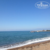 фото из отзыва ID 787379