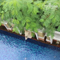 фото из отзыва ID 787381