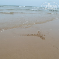 фото из отзыва ID 787583