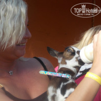 фото из отзыва ID 787923