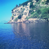 фото из отзыва ID 787645