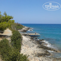 фото из отзыва ID 787151