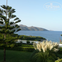 фото из отзыва ID 787626