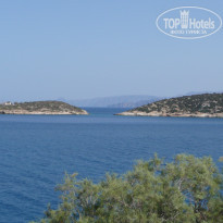 фото из отзыва ID 787626