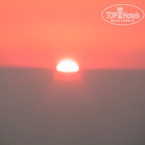 фото из отзыва ID 788059