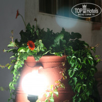 фото из отзыва ID 788153