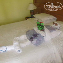 фото из отзыва ID 788171