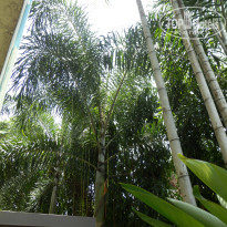 фото из отзыва ID 788261