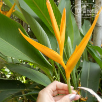 фото из отзыва ID 788261