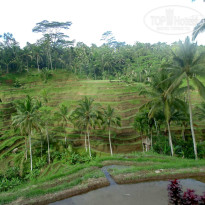 фото из отзыва ID 788296