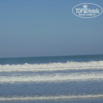 фото из отзыва ID 788296