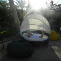 фото из отзыва ID 788734