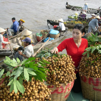 фото из отзыва ID 788971