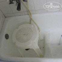 фото из отзыва ID 788631