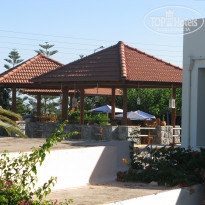 фото из отзыва ID 788552