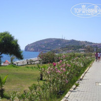 фото из отзыва ID 78887