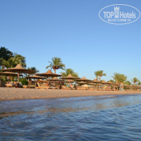 фото из отзыва ID 789078