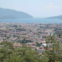 фото из отзыва ID 789557