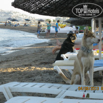 фото из отзыва ID 789127