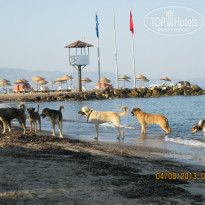 фото из отзыва ID 789127