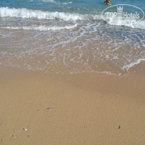 фото из отзыва ID 790087