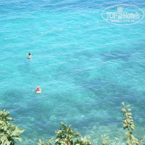 фото из отзыва ID 790355