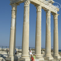 фото из отзыва ID 790419