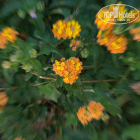 фото из отзыва ID 790843