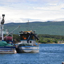 фото из отзыва ID 790929