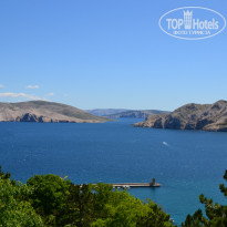 фото из отзыва ID 790929