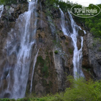 фото из отзыва ID 790929