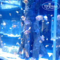 фото из отзыва ID 790298