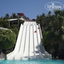 фото из отзыва ID 791065