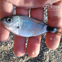 фото из отзыва ID 791050