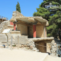 фото из отзыва ID 791609