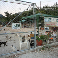 фото из отзыва ID 791849