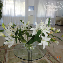 фото из отзыва ID 791842