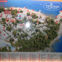 фото из отзыва ID 791195