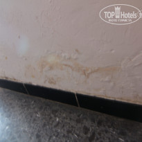 фото из отзыва ID 791167