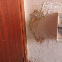 фото из отзыва ID 791167