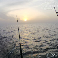 фото из отзыва ID 791387