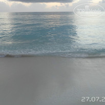 фото из отзыва ID 791387