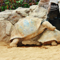 фото из отзыва ID 792025