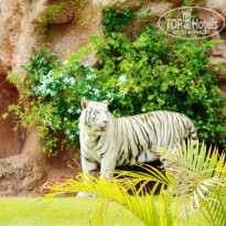 фото из отзыва ID 792025