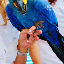 фото из отзыва ID 792025