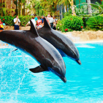 фото из отзыва ID 792025