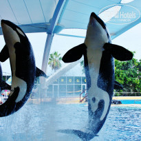 фото из отзыва ID 792025