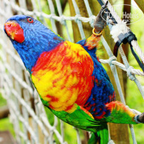 фото из отзыва ID 792025